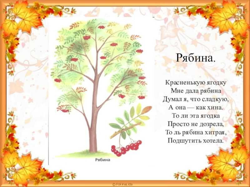 Стихи про осень короткие и красивые – наумёнок