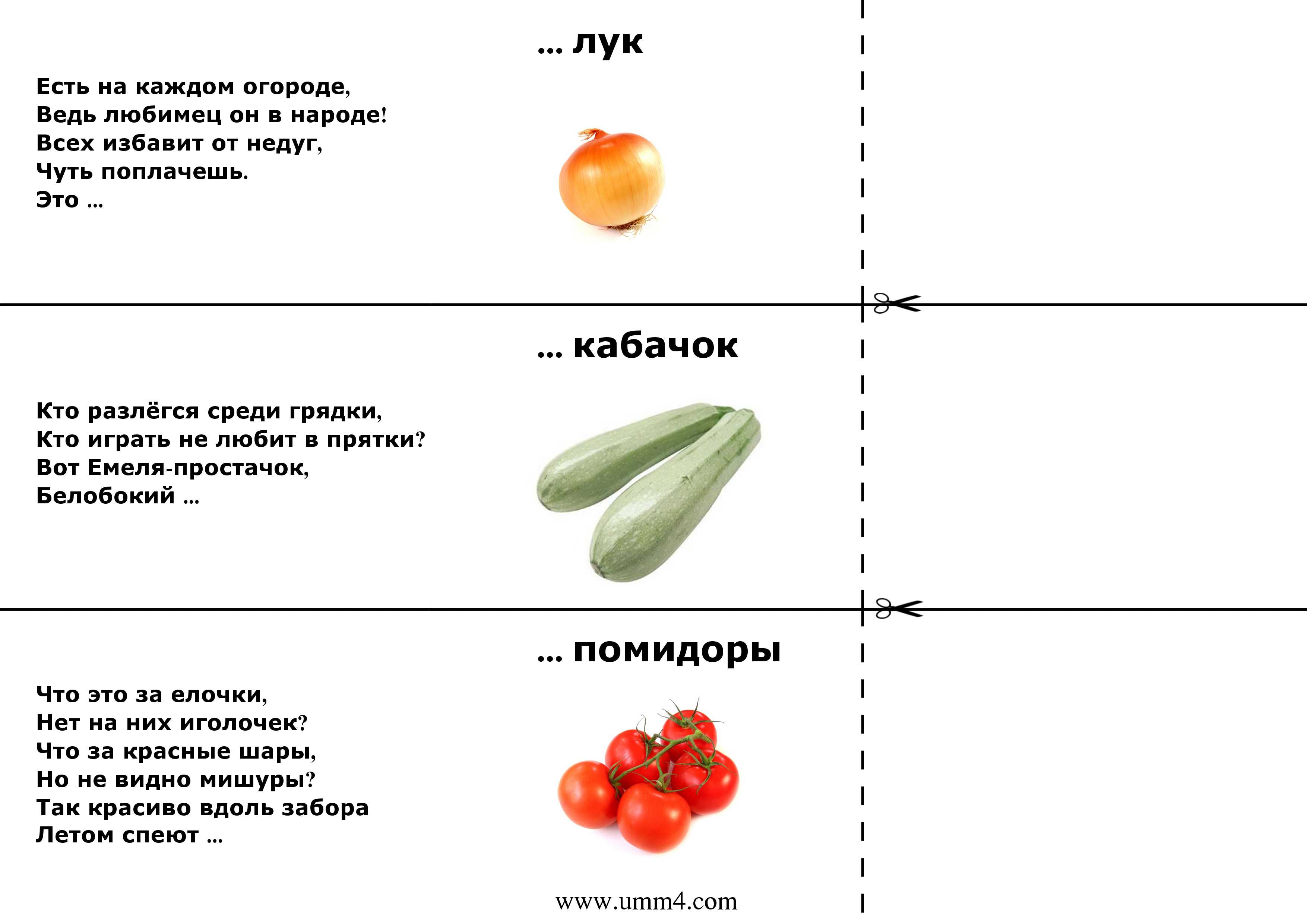 Загадки про овощи и фрукты для детей с ответами – о плодах, ягодах и витаминах