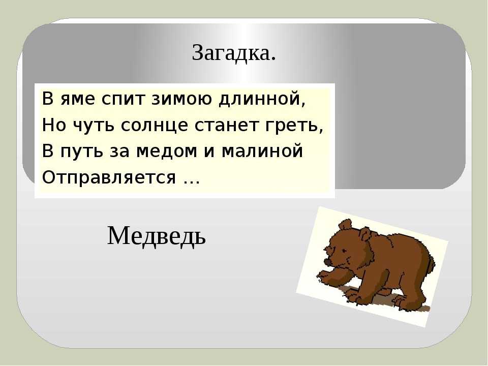 Составить предложение из слов медведь. Загадка про медведя. Загадка про медведя для детей. Загадка про медвежонка для дошкольников. Загадка про медведя для дошкольников.