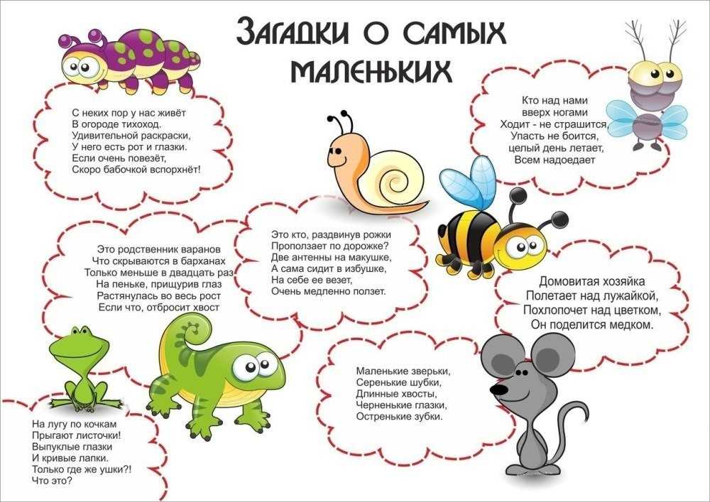 Загадки о животных для детей 5-6-7 лет с ответами