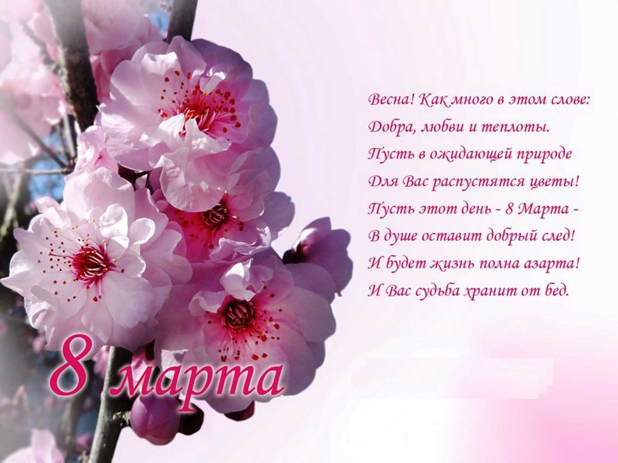 собрал красивые стихи на 8 марта маме В этот день принято поздравлять женщин и особенно приятно поздравить - маму