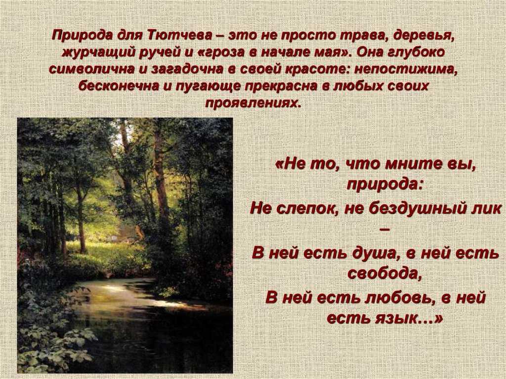 Стихи тютчева - лучшие стихотворения тютчева федора ивановича