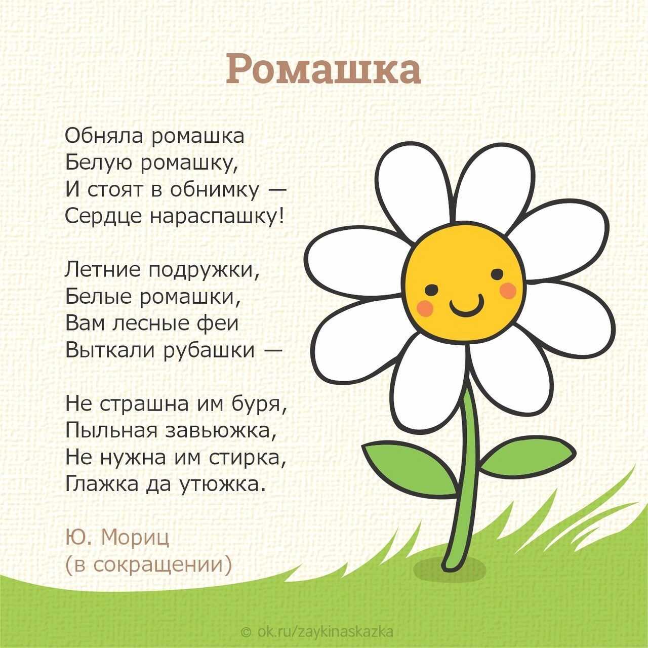 Стихи про цветы для детей читать онлайн