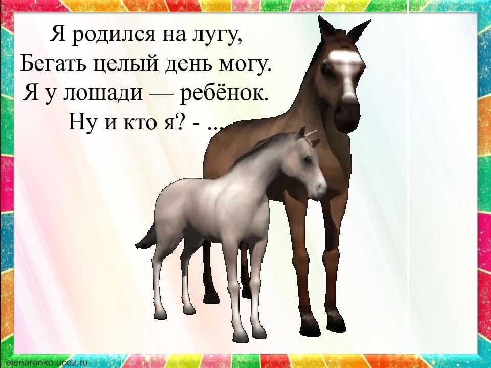 Мама купим коня стихотворение. Стих про лошадку. Маленький стих про лошадь. Детские стишки про лошадку. Детские стихи про лошадку.