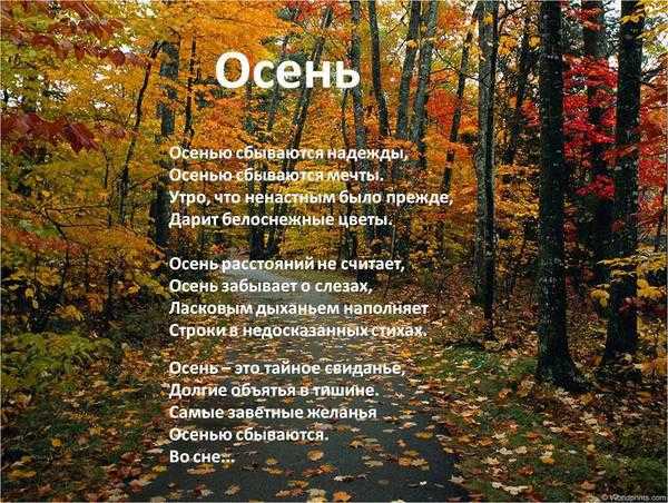 Стихи про осень для детей | 40 лучших стихотворений про осень