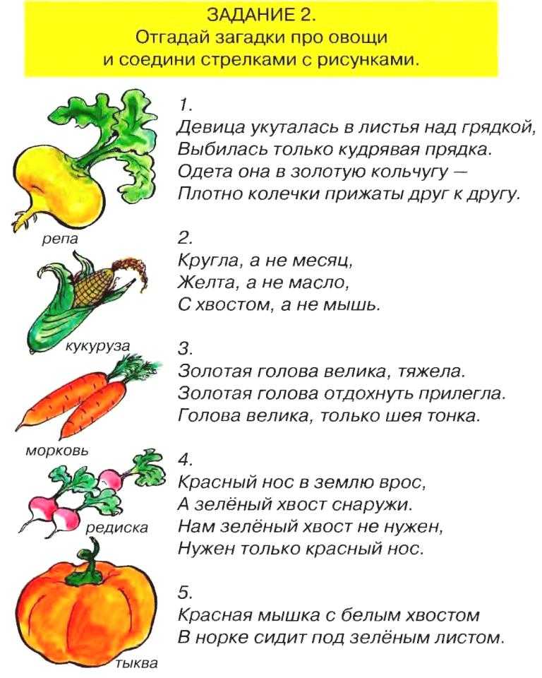 Загадки про фрукты для детей с ответами