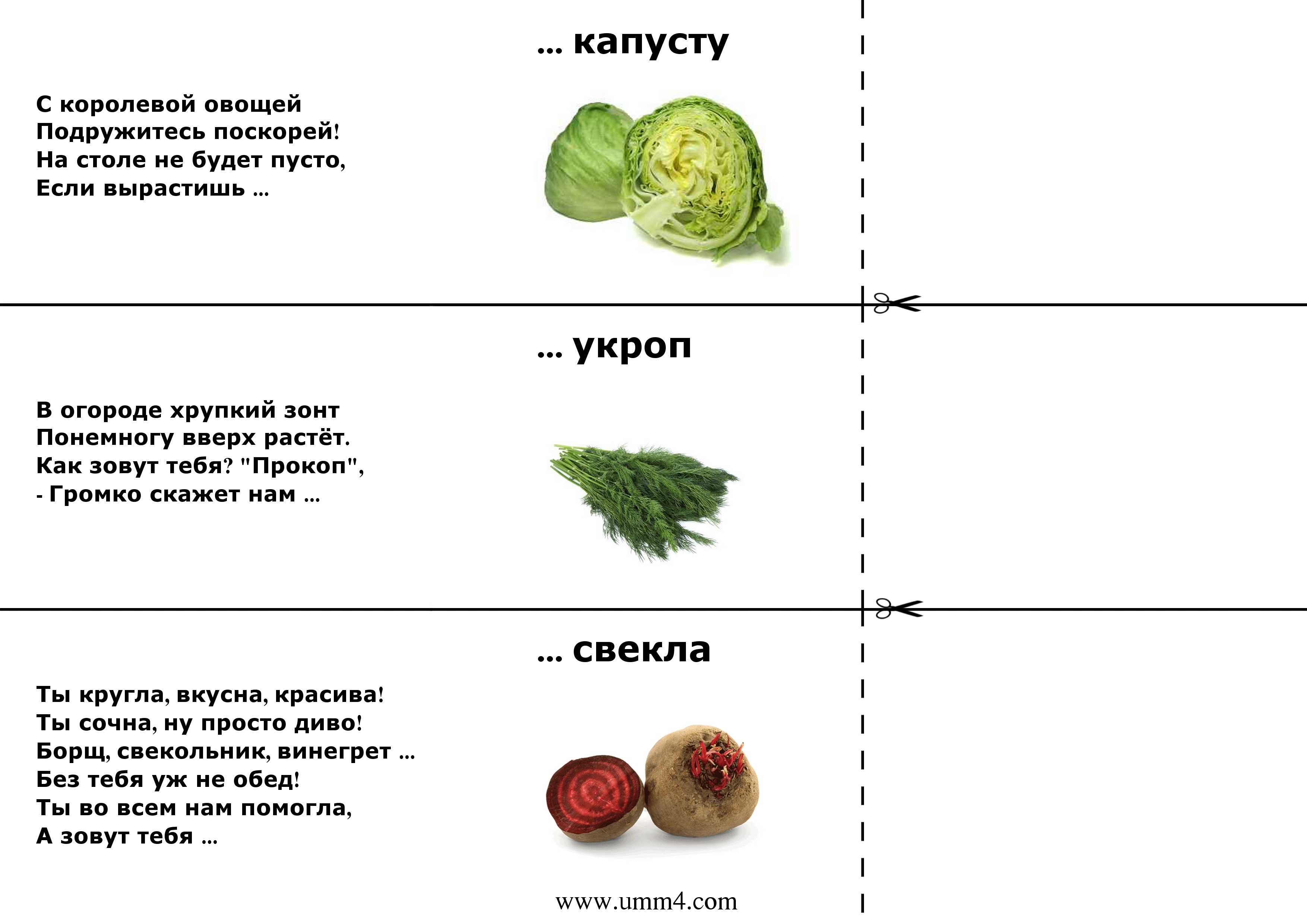 Загадки про овощи и фрукты для детей с ответами
