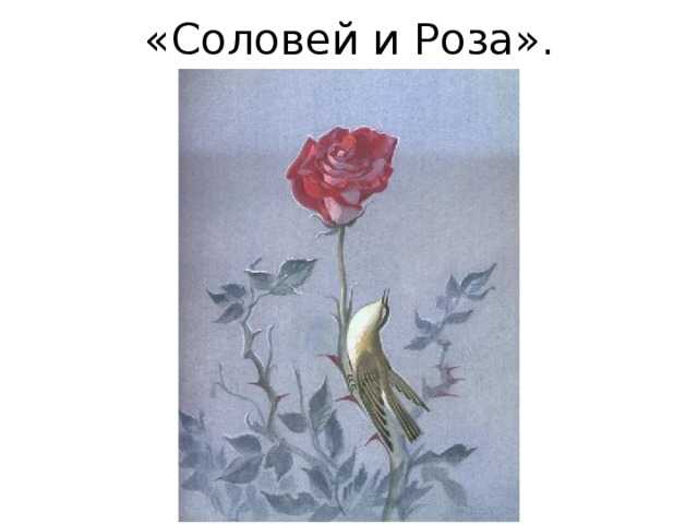Сказка соловей и роза читать онлайн бесплатно
