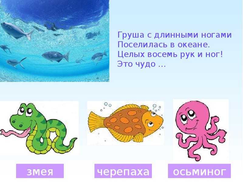 Загадки про подводный мир с ответами для детей 7-9 лет