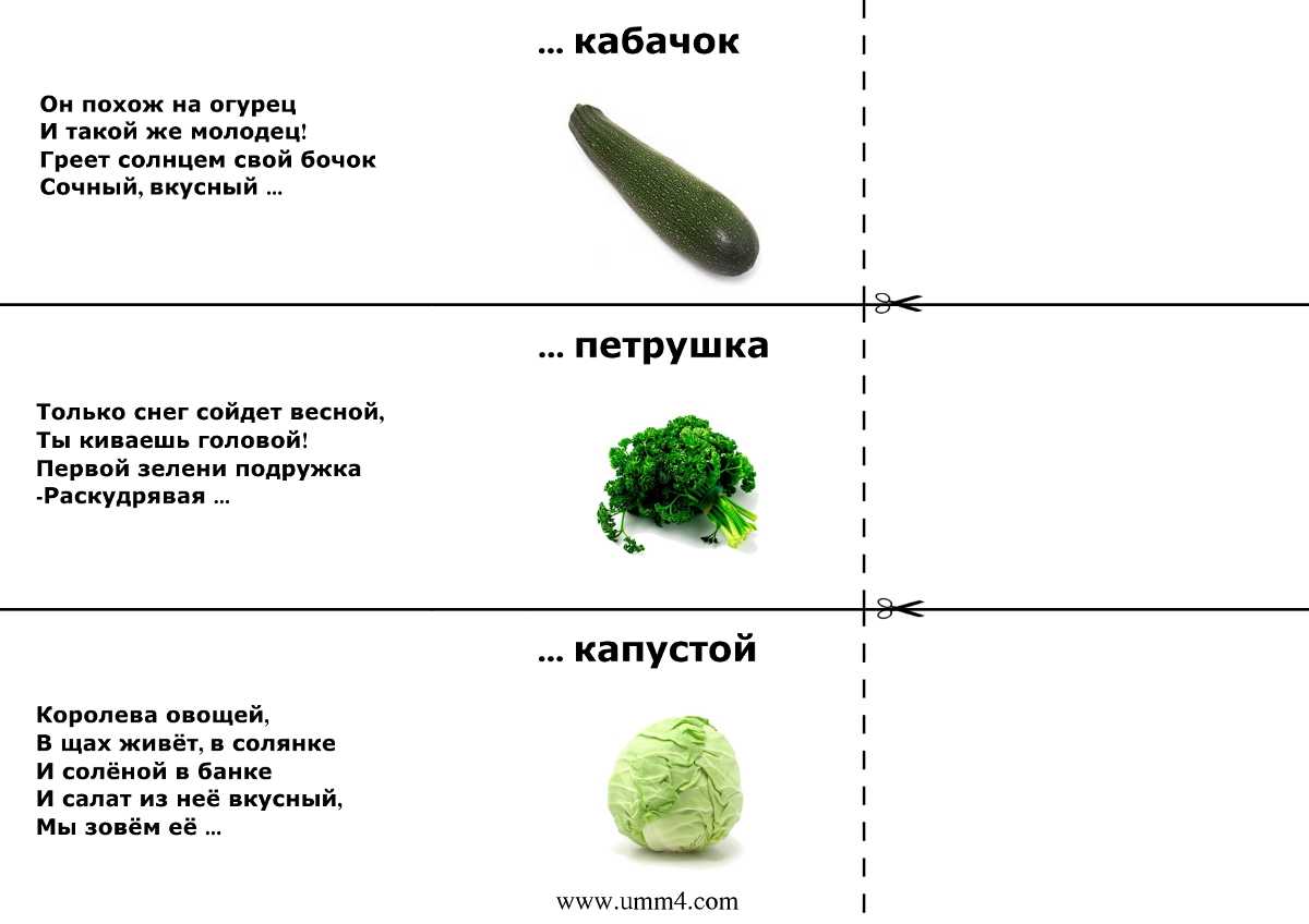 Загадки про овощи для детей с ответами