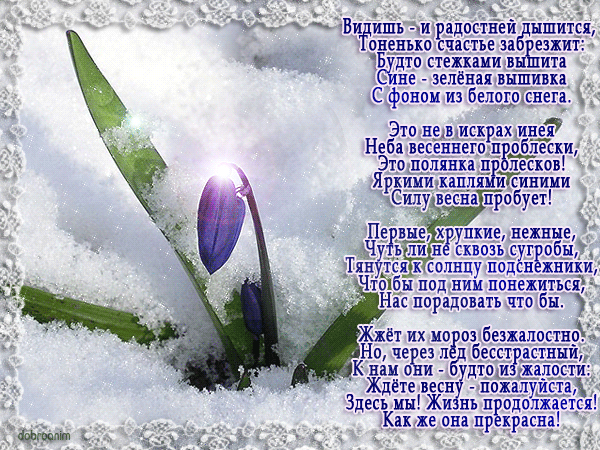 Красивое стихотворение о марте. Стих про весну. Стихотворение о весне. Классные стихи про весну. Красивое стихотворение о весне.