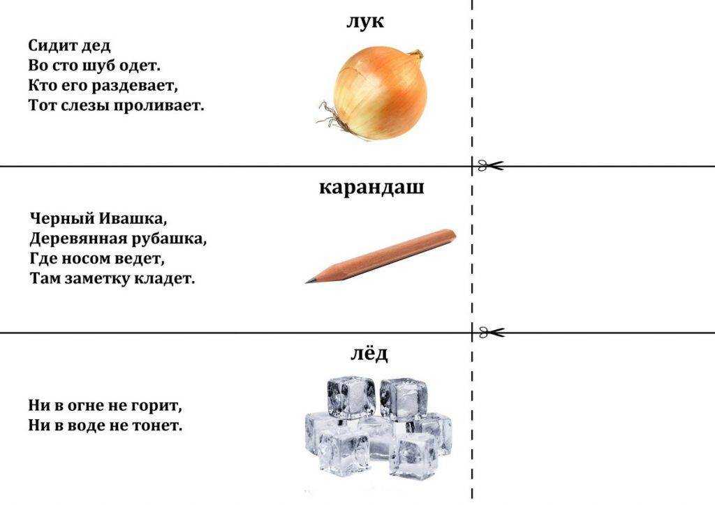 Лучшие загадки для детей 5-6 лет с ответами (можно распечатать!)