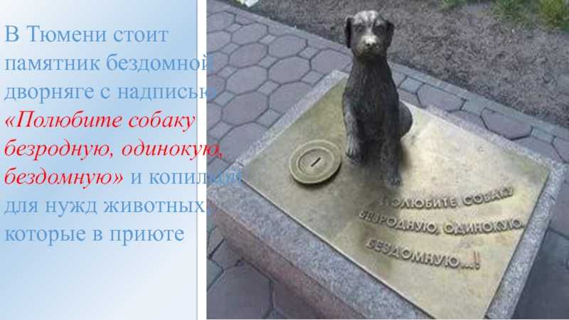 Памятники животным в санкт-петербурге — фото с описанием [22 памятника]