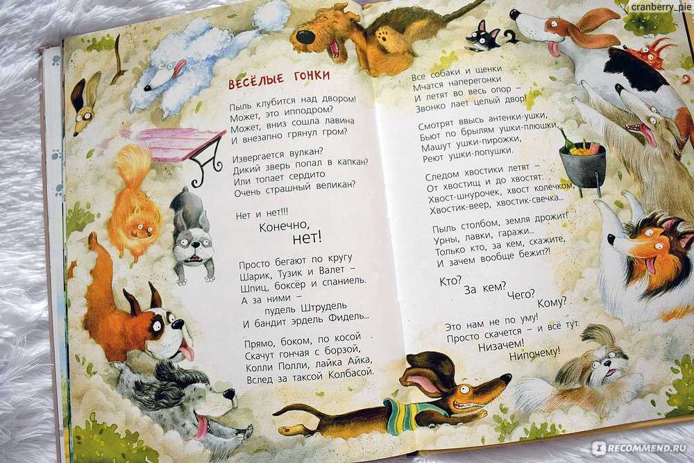 Стихи про собак. детские стихи о собаках