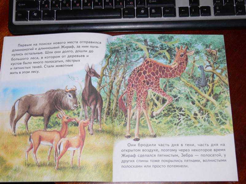 Читать сказку откуда у леопарда пятна - редьярд киплинг, онлайн бесплатно с иллюстрациями.