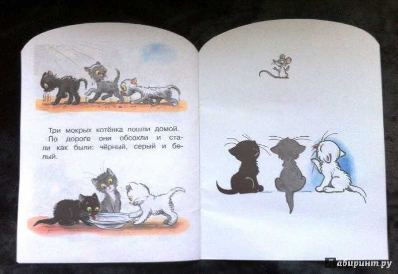 Федин котенок 3 полностью. Книга Сутеев три котенка. Ладимир Сутеев: три котёнка. Три котенка книжка Сутеева.