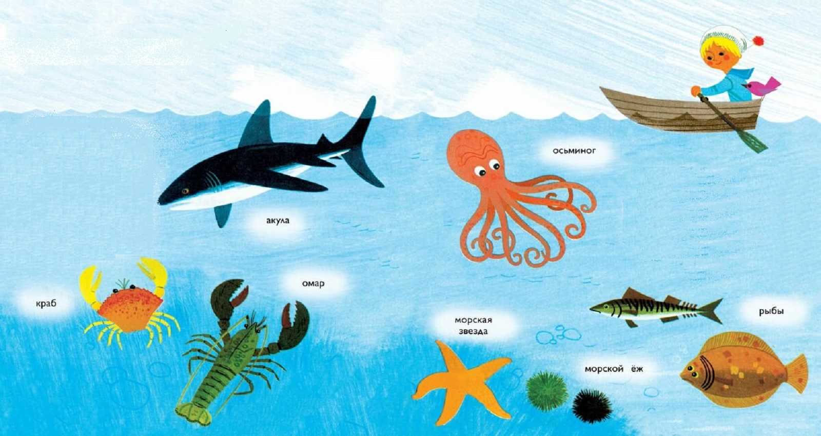 Загадки про морских обитателей для детей
