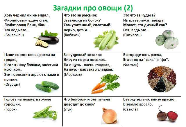 Загадки про овощи ✅ блог iqsha.ru