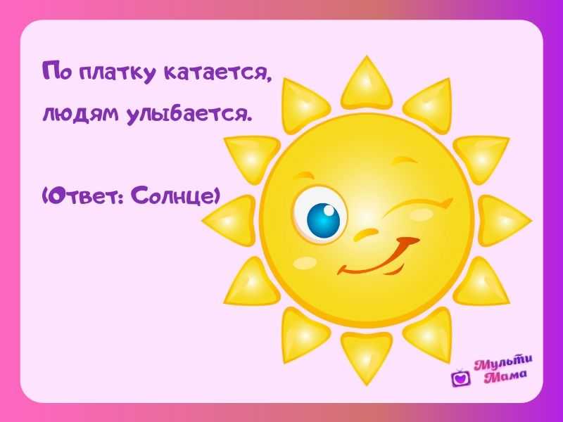 60 интересных загадок про кошку для детей с ответами