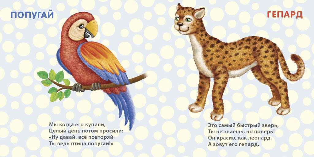 Стихи про птиц - корокткие и красивые стихотворения про птиц для школьников 6-7 лет - na5.club