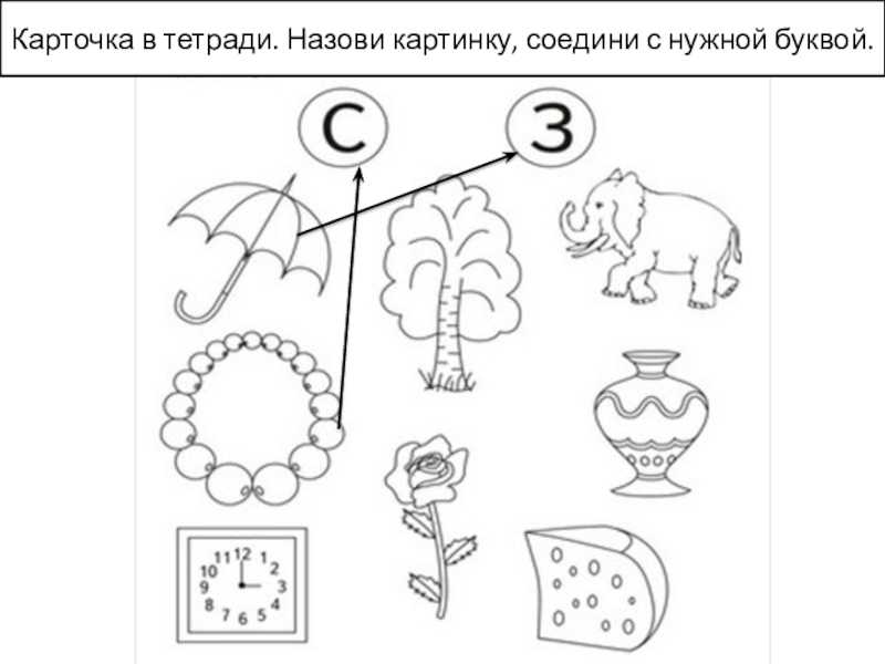 Задания на звук з для дошкольников в картинках