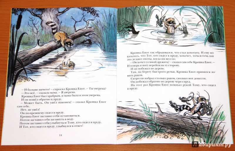 Она помогла крошке. Крошка енот Союзмультфильм 1974. Лилиан муур крошка енот и тот кто сидит в пруду. Крошка енот и тот, кто сидит в пруду книга. Тот кто сидит в пруду.