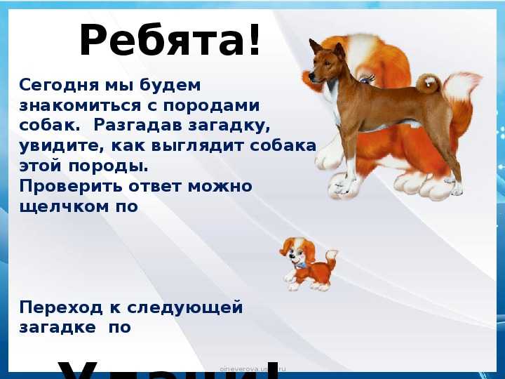 Текст собака для детей