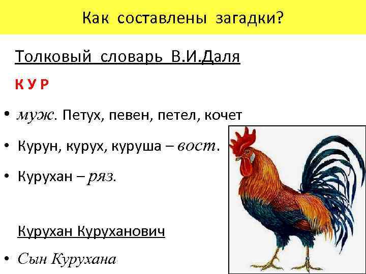 Загадки про петуха с ответами - я happy мама