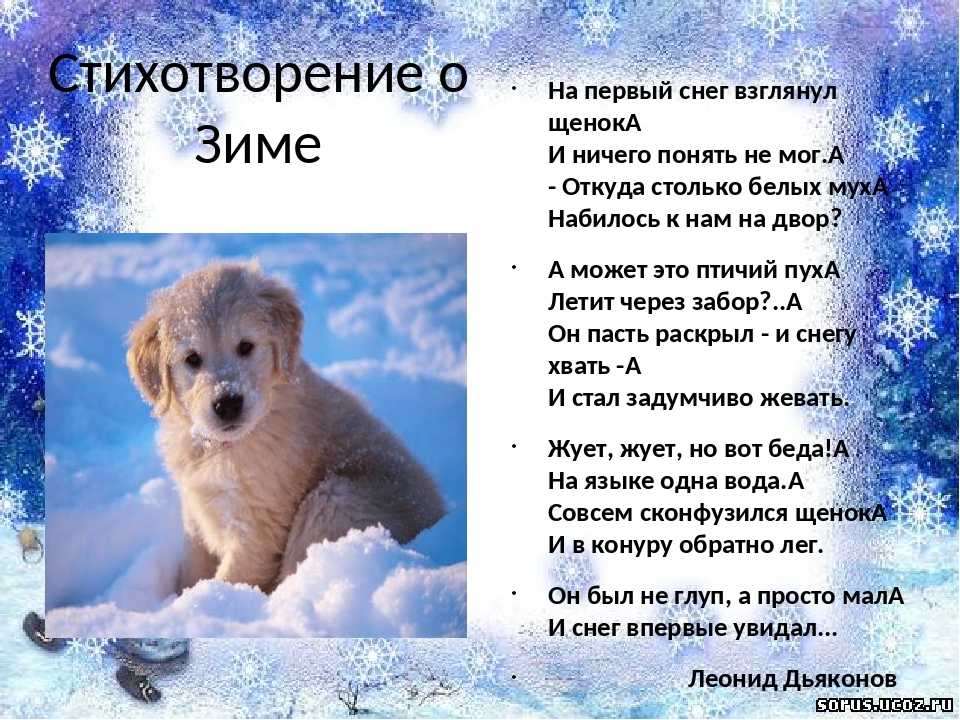 Стихи русских поэтов о зиме