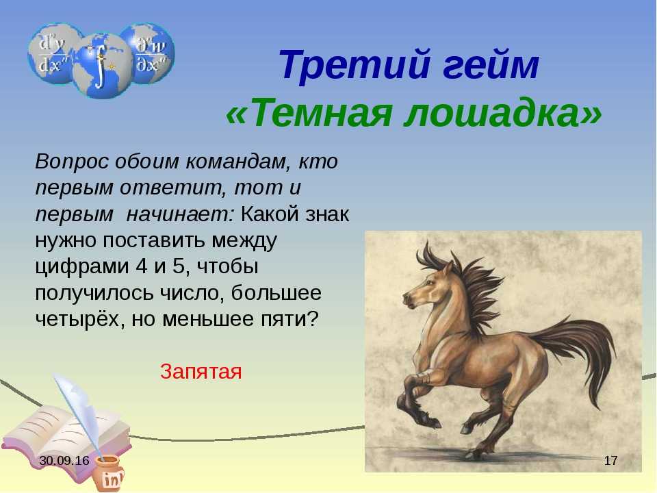 Лошадка 2 класса. Вопросы о лошадях для детей. Загадка про лошадь для детей. Пословицы про лошадь для детей.