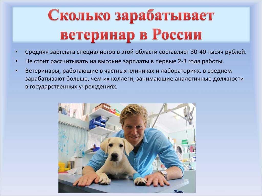 Знаете ли вы кто такой ветеринар Чем занимается ветеринар и как им стать Где могут работать ветеринары Самые знаменитые ветеринарные врачи мира