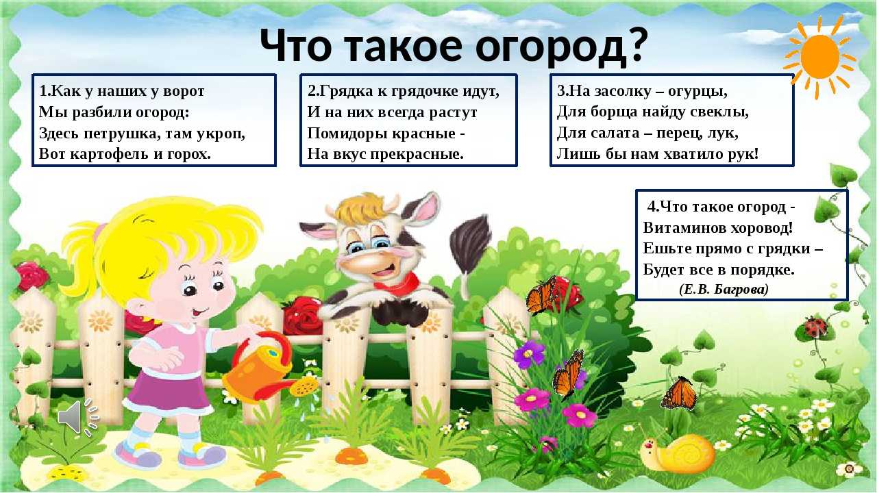 Интересные загадки про овощи для детей и взрослых