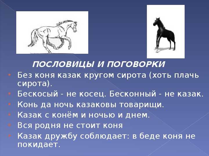 Как звали коня казбича герой