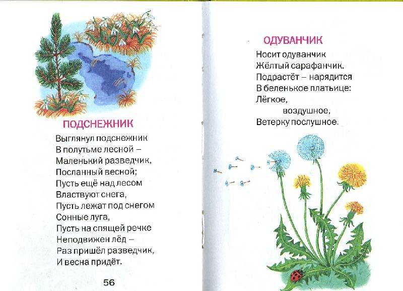 Стихи про одуванчики | antrio.ru