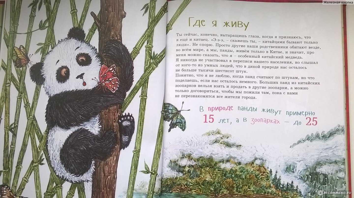 Панда и дракон книга. Я большая Панда книга. Детские книги о пандах. Панда с книгой. Интересное о пандах для детей.