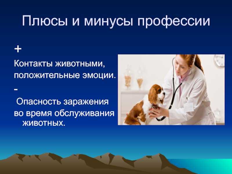 Профессия ветеринар: описание, плюсы и минусы