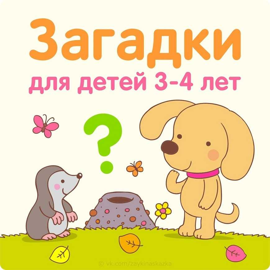 Картинки загадки для детей 3 4