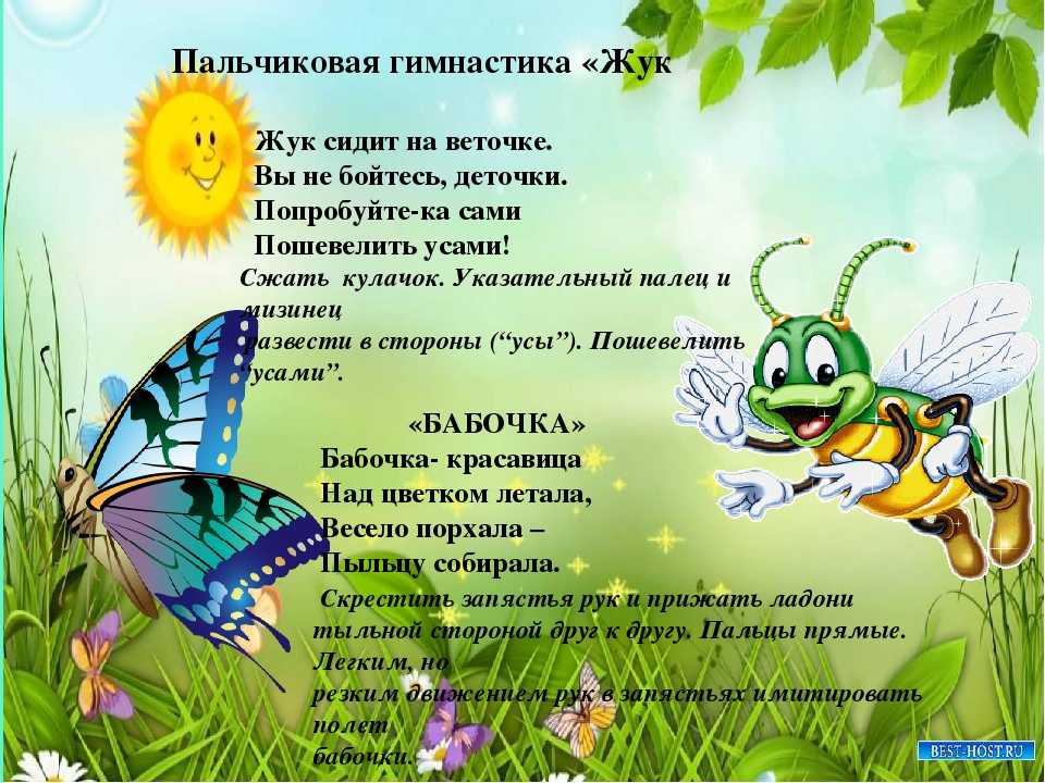 Тема недели насекомые в картинках