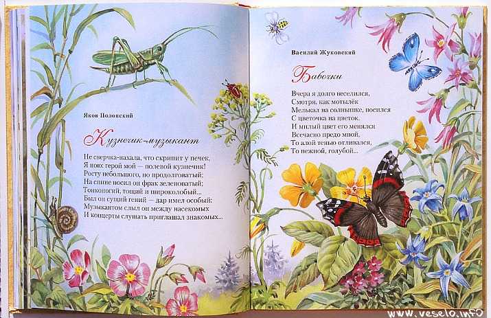 Стихи про лето для детей 7-8 лет | читать короткие и длинные стихи лето дошкольникам