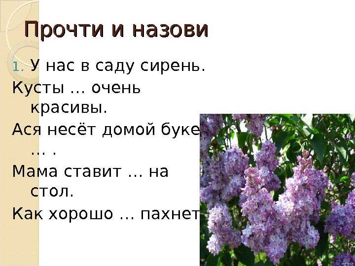 Загадки про осень с ответами – 70 самых лучших загадок – ladyvi.ru