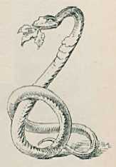 Сказка три змеиных листика читать онлайн якоб и вильгельм гримм