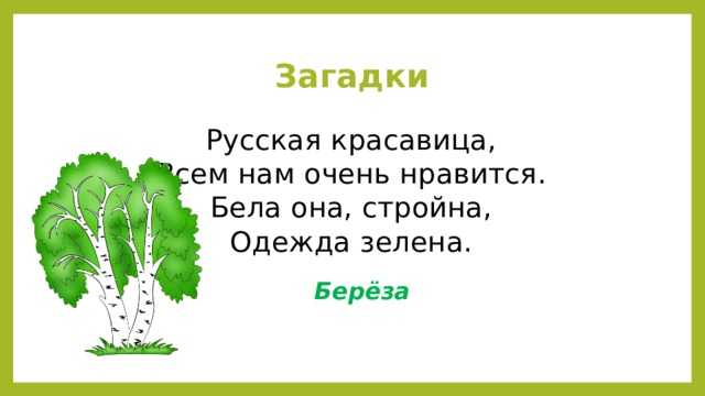 Загадка леса составь и запиши план текста