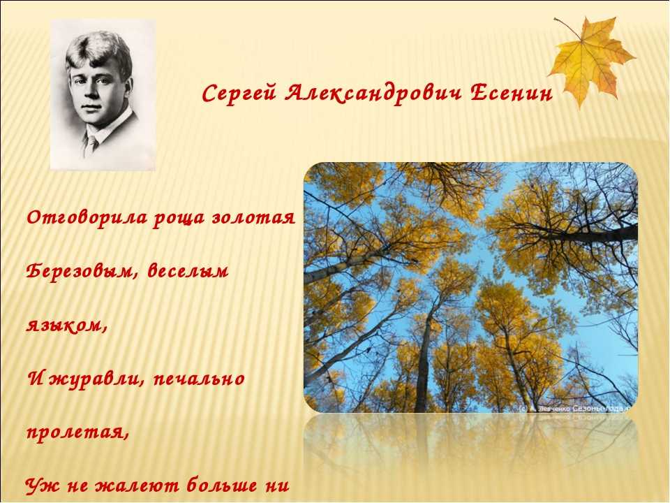 Стихи про осень короткие и красивые – наумёнок
