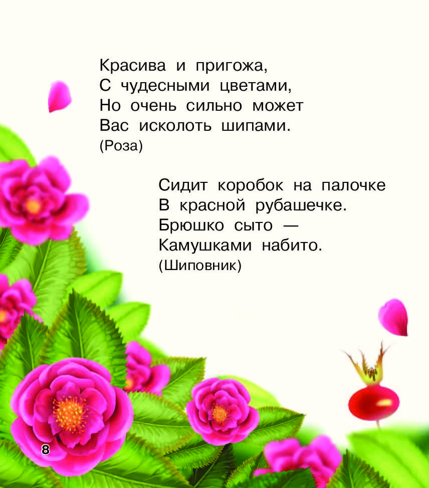 Стихи про розовые. Детские стихи о Розе. Стих про розу для детей. Стих про розу цветок для детей. Стих про розу короткие для детей.