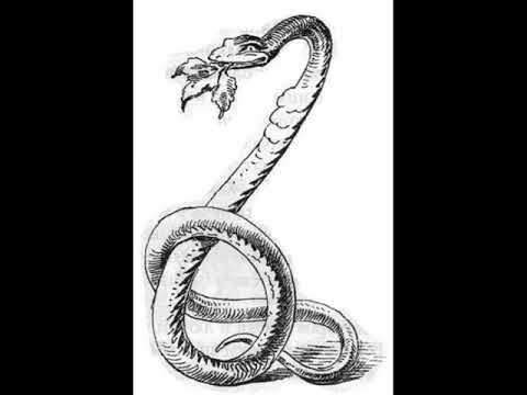 Три змеиных листика — сказка братьев гримм | сказки. рассказы. стихи