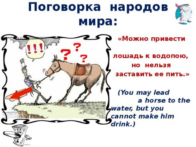 Пословицы и поговорки о лошадях | lovehorses.ru