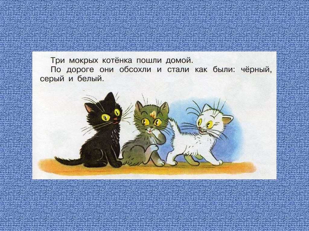 Три котенка слова. Сутеев в. "три котенка". Три котёнка белые серые. Три котёнка чёрный серый и белый. Три котенка Сутеев презентация.