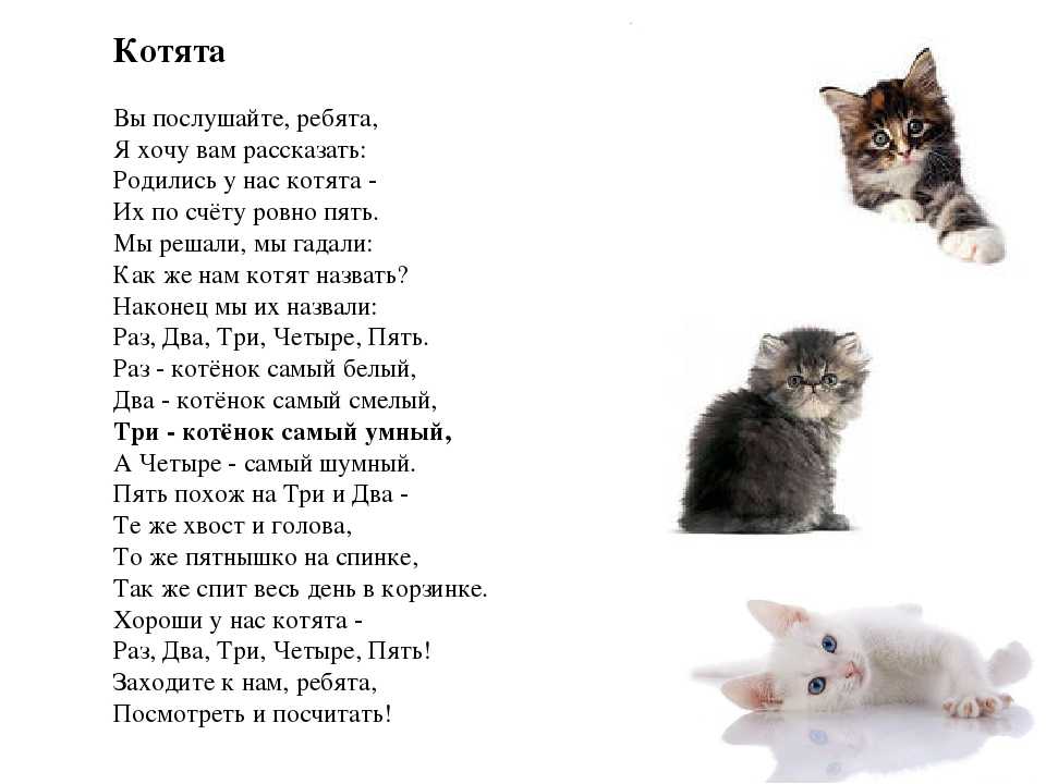 Стихи про детство для детей на конкурс чтецов, 1-2-3-4 класс