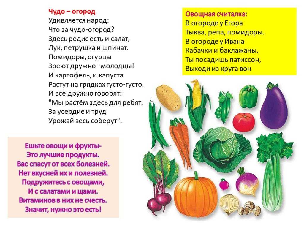 Есть и овощ в огороде. Стихи про овощи и фрукты. Стихи про овощи. Стихи про овощи для детей. Стихи про овощи и фрукты для детей.