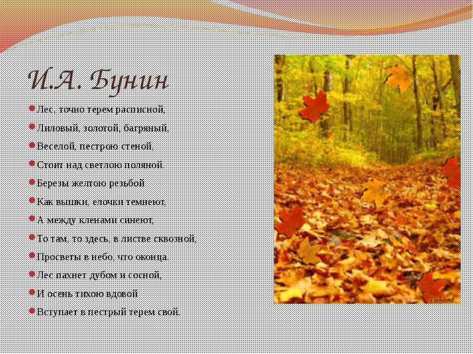 Стихи про осень - самые красивые стихотворения про осень